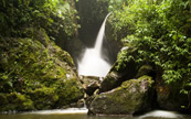 Petite chute de Quindio, dpartement de la Colombie