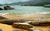 Jolie plage du Parc National Tayrona, Colombie