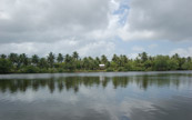 Petite maison sur un lagon dans une foret tropical