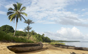 Bateau chou sur le rivage